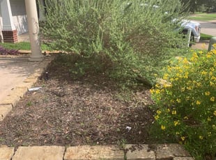 Weeding by Kenneth Frazier for May P. in Seabrook, TX
