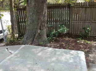 Leaf Removal by Mario Galipo for Dwight M. in Sarasota, FL