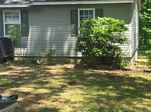 Bush Trimming by Antuanne Kerr for Deirdre S. in Gastonia, NC