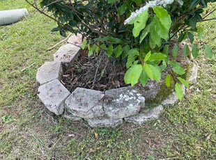 Weeding by Herschell Bradley for Shane R. in Tallahassee, FL