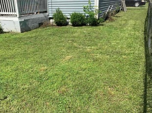 April C.'s Lawn Care service result