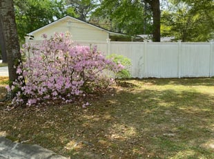 Bush Trimming by William Sellers for Anita B. in Summerville, SC