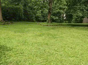 Sharon B.'s Yard Cutting service result
