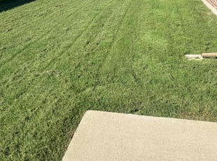 Heather C.'s Lawn Care service result