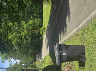 Cleanups by Douglas McClelland for Susan F. in Center Point, AL