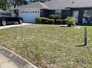 Bush Trimming by Kelly Arndt for Daisy B. in Pensacola, FL