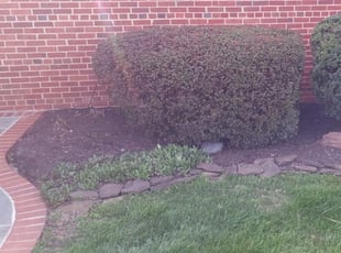 Cleanups by Rose Valle for Samantha S. in Fairfax, VA