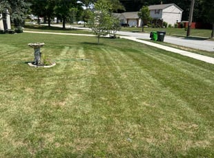 Betty B.'s Lawn Service service result