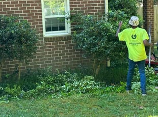 Bush Trimming by Jeff Miller for Nathan K. in Richmond, VA