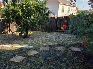 Weeding by Francisco Gutierrez for Lachlan B. in Austin, TX