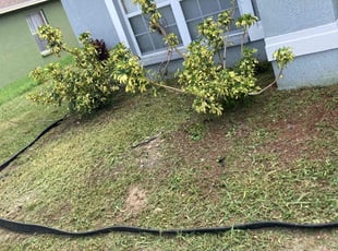 Weeding by Robert Martin for Olane M. in Winter Haven, FL