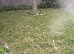 Landscaping by Benito Williams for Xiangyu L. in Birmingham, MI