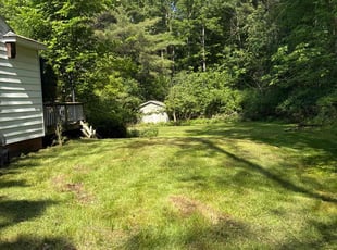 Leaf Removal by Asif Choudry for Orlando C. in Schenectady, NY