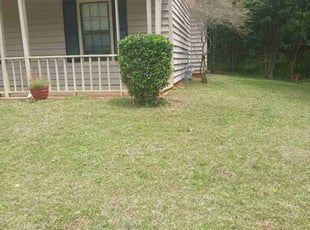 Bush Trimming by Joshua Walker for Jordan R. in Stone Mountain, GA