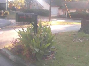 Mulching by Monty Griffin for Joelle P. in Atlanta, GA