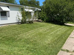 Pamela A.'s Lawn Mowing Service service result