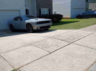 Mario C.'s Lawn Care service result