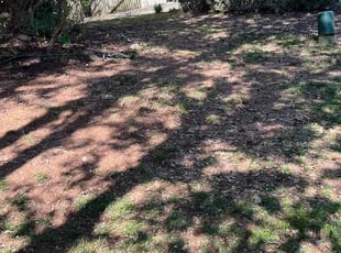 Leaf Removal by Yolanda Torres for Marissa M. in Acworth, GA