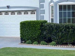 Bush Trimming by Conner Meadows for Michael S. in Alpharetta, GA