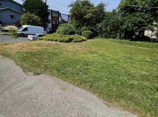 Bush Trimming by Nicholas Cortes for Troy S. in Seattle, WA