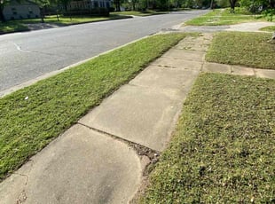 Michael M.'s Lawn Care service result