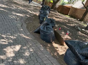 Leaf Removal by Rosa Valencia for Abby H. in Plano, TX