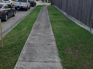 Weeding by DB Spurlock for Quinton m. in Houston, TX