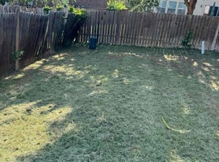Cleanups by Preston McNeely for Lori W. in San Antonio, TX
