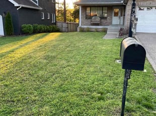 Bush Trimming by Landon Millett for Patrick B. in Nashville, TN