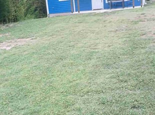 Cleanups by Rene Andrade for Becky O. in Austin, TX