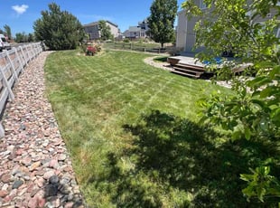 Cleanups by David Williams for Matt H. in Littleton, CO
