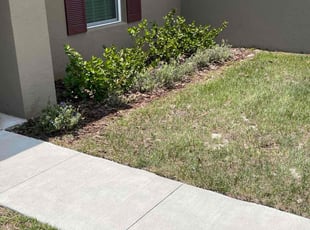 Weeding by Jordan Davis for Sarah H. in Poinciana, FL