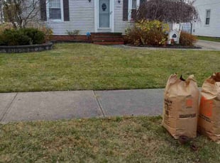Leaf Removal by Justin Siggers for Lauren P. in Lyndhurst, OH