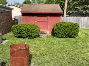 Bush Trimming by Alexus Cooley for Michael W. in Indianapolis, IN