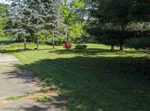 Teresa F.'s Lawn Service service result