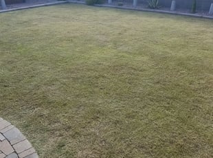Landscaping by Raul Blanco for Michael H. in Scottsdale, AZ