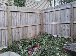 Cleanups by Jason West for Shawn E. in Tallahassee, FL