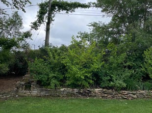 Landscaping by Connor Doyle for Colleen H. in Fridley, MN