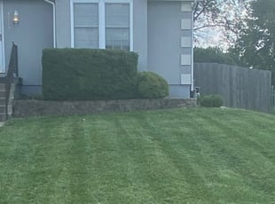Bush Trimming by Brandon James for Chris R. in Kansas City, MO