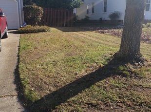 Leaf Removal by Tommy Rhea for Jessica S. in Virginia Beach, VA