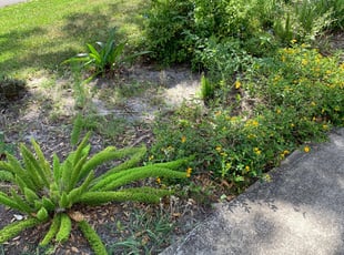 Leaf Removal by Henry Mack for Zeeshan A. in Jacksonville, FL