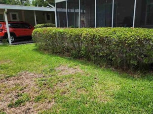 Bush Trimming by Christopher Harper for Deborah V. in Gainesville, FL