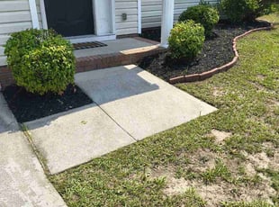 Bush Trimming by Michelle Boyd for Michael S. in Columbia, SC