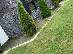 Weeding by Irvin Lopez for Dayna S. in Nashville, TN