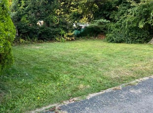 Chris C.'s Lawn Mowing service result