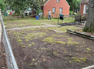 Sheila, J.'s Leaf Removal service result