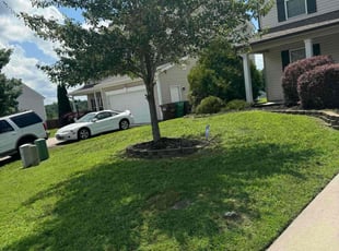 Brian R.'s Lawn Service service result