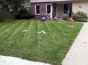 Leaf Removal by Jermaine Baker for Maggie M. in Grand Rapids, MI