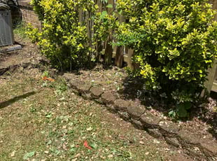 Weeding by Jason Scott for Rui Z. in Gaithersburg, MD