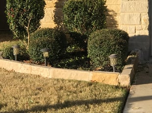 Landscaping by Ken Cluchey for Regina S. in Austin, TX